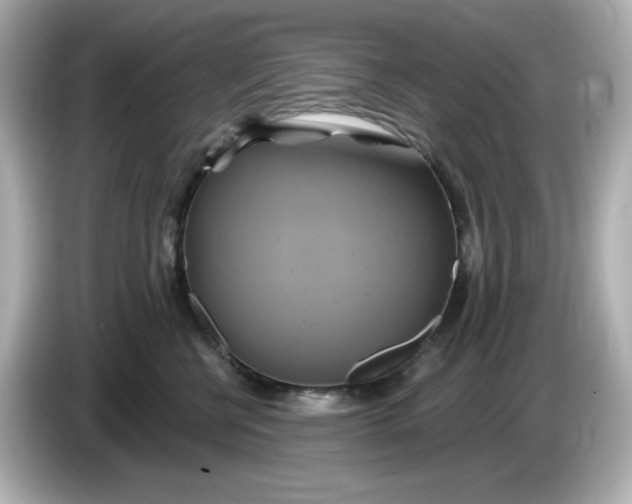 X0000086020570200704091116