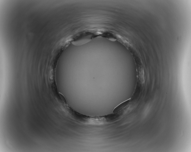 X0000086020571200704091116