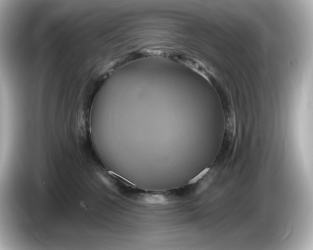 X0000086020572200704091116