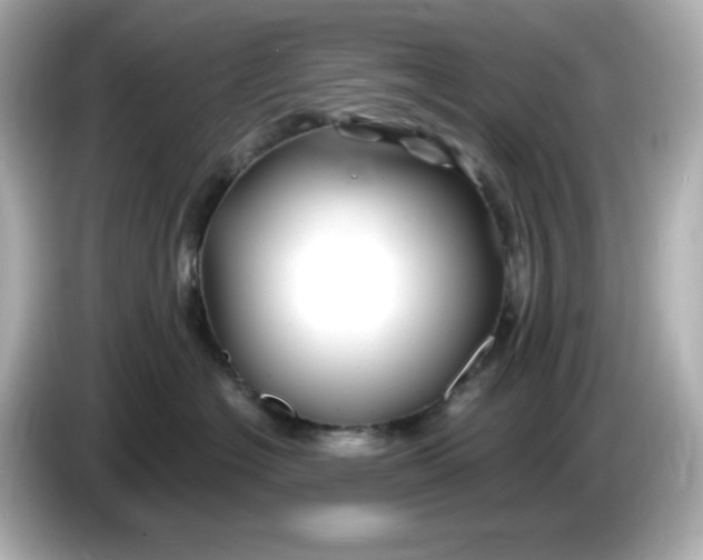 X0000086020574200704091116