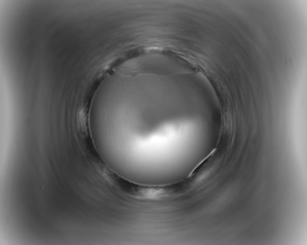 X0000086020575200704091116