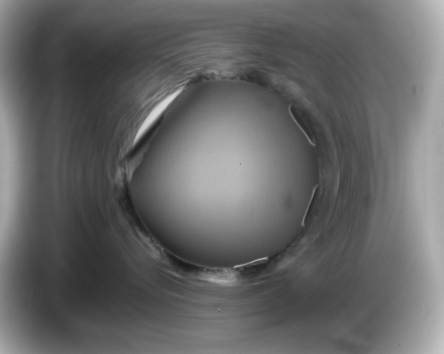 X0000086020576200704091116