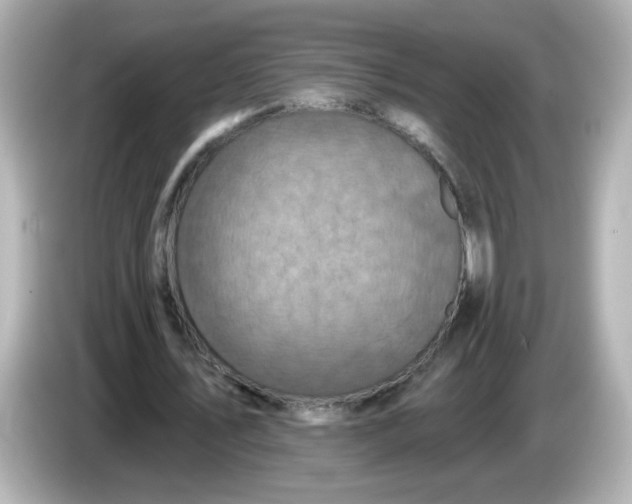 X0000086020579200704091115