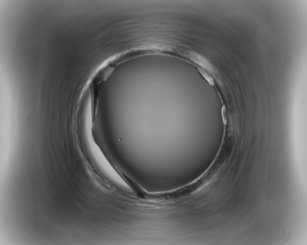 X0000086020580200704091115