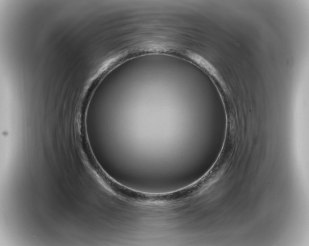 X0000086020581200704091115