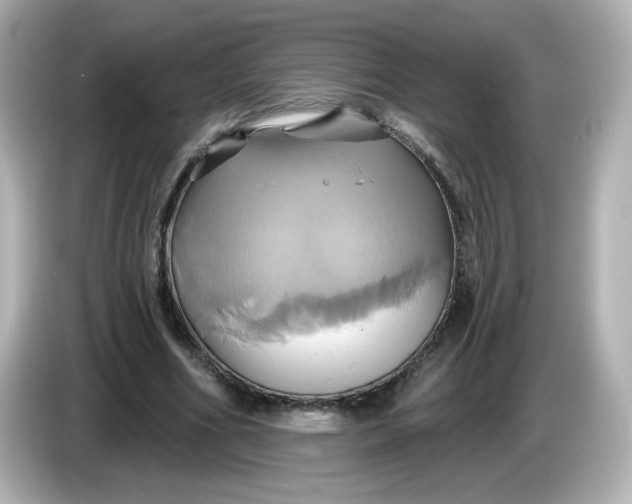 X0000086020586200704091115