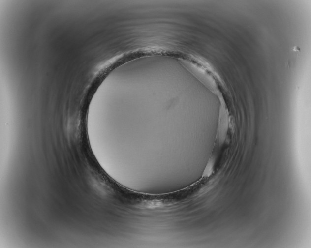 X0000086020588200704091115