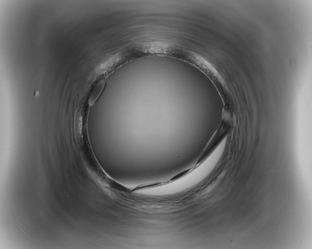 X0000086020589200704091115