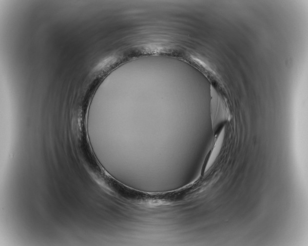 X0000086020590200704091115