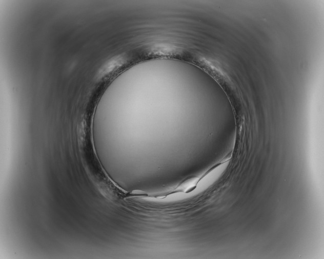 X0000086020591200704091115