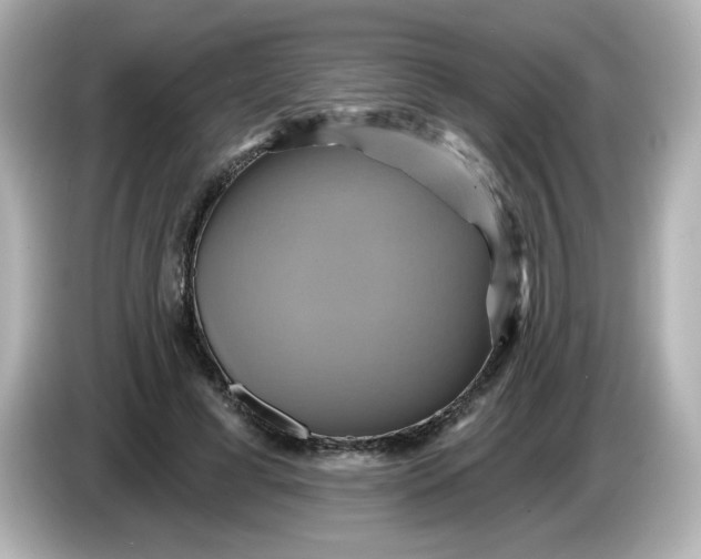 X0000086020593200704091115