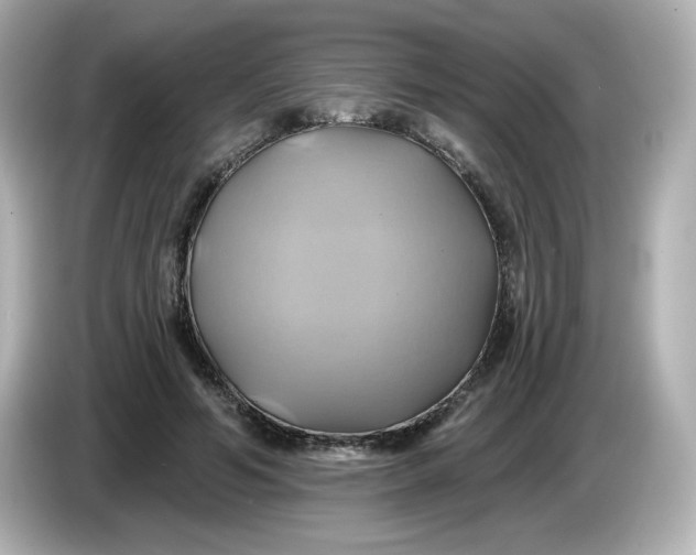 X0000086020594200704091115
