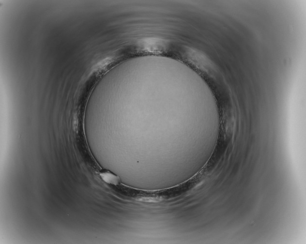 X0000086020595200704091115
