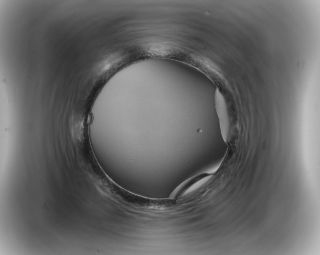 X0000086020596200704091115