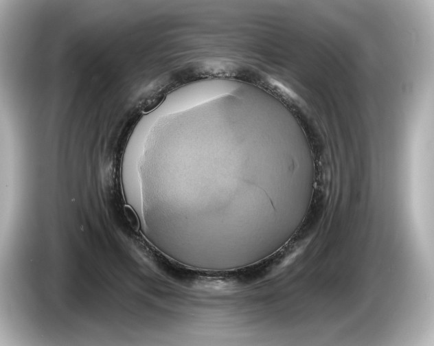 X0000086020597200704091115