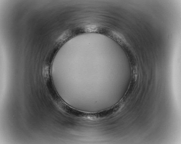 X0000086020598200704091115