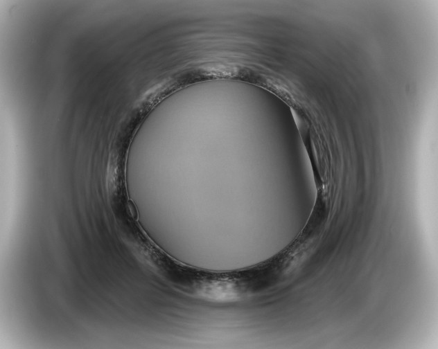 X0000086020600200704091115