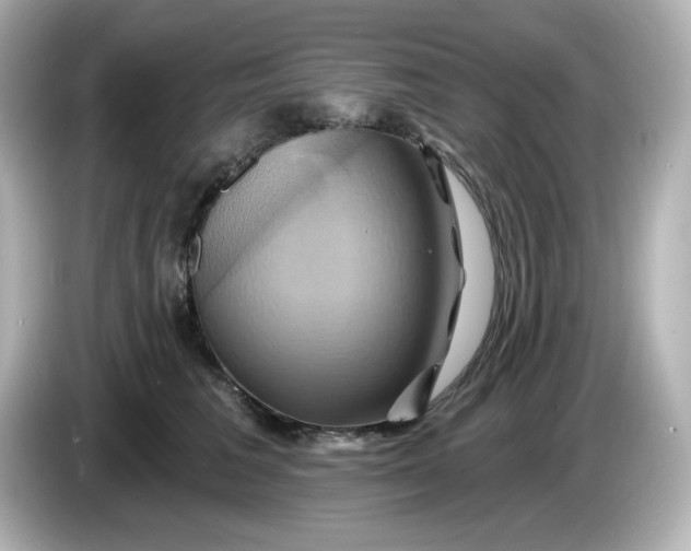 X0000086020613200704091115