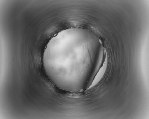 X0000086020615200704091115