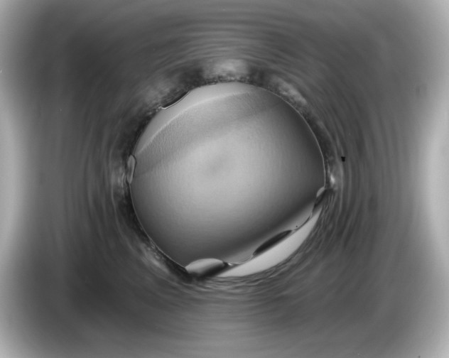X0000086020617200704091115