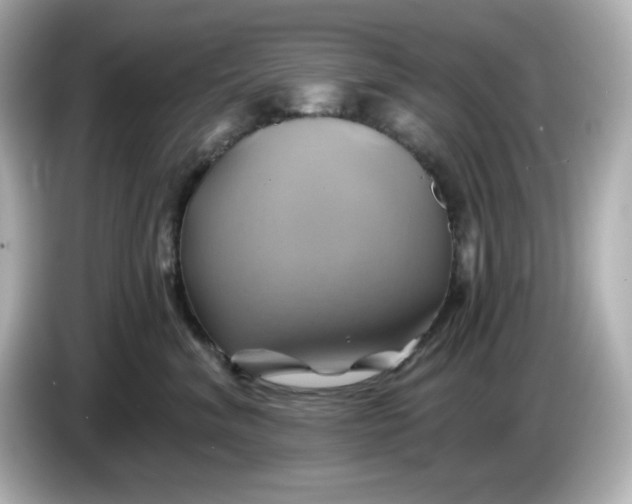 X0000086020620200704091115