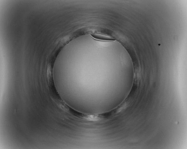 X0000086020623200704091115