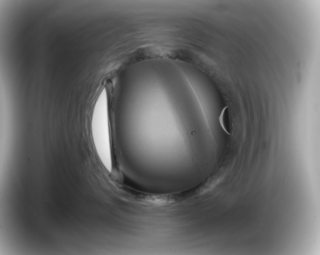 X0000086020624200704091115