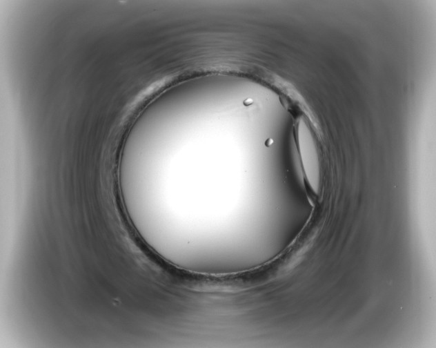 X0000086020625200704091114