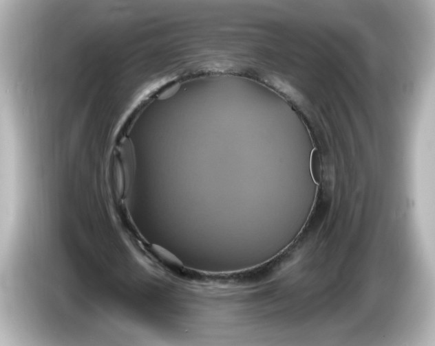X0000086020626200704091114