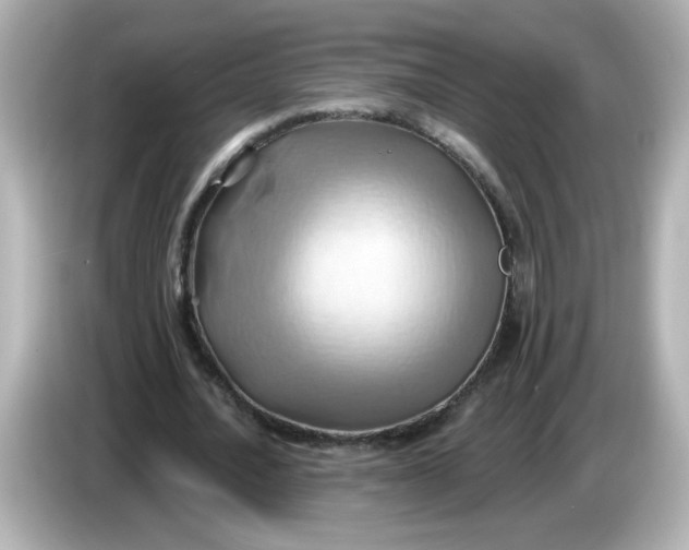 X0000086020628200704091114