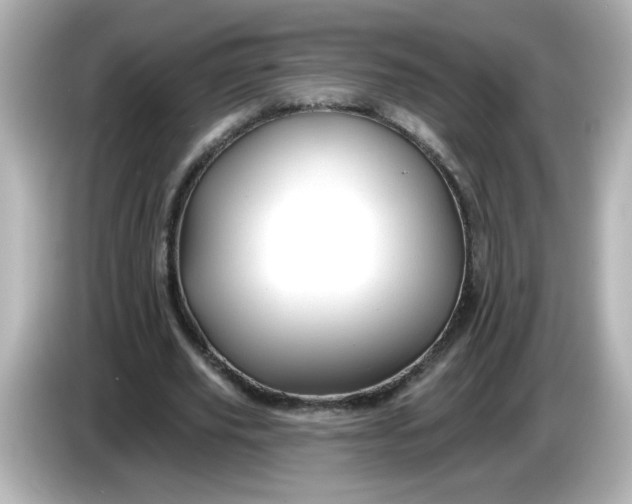 X0000086020629200704091114