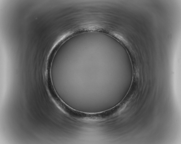 X0000086020630200704091114
