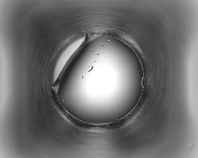 X0000086020633200704091114