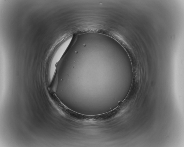 X0000086020634200704091114