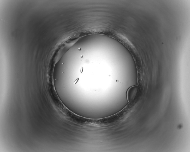 X0000086020635200704091114
