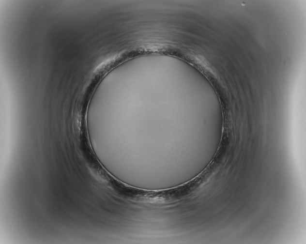 X0000086020640200704091114