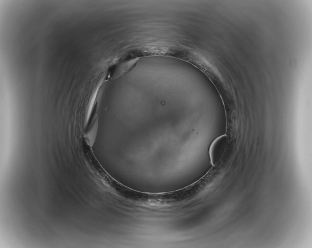 X0000086020641200704091114