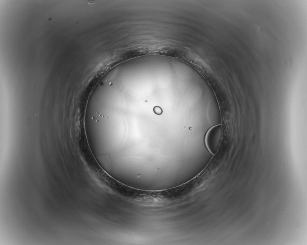 X0000086020642200704091114