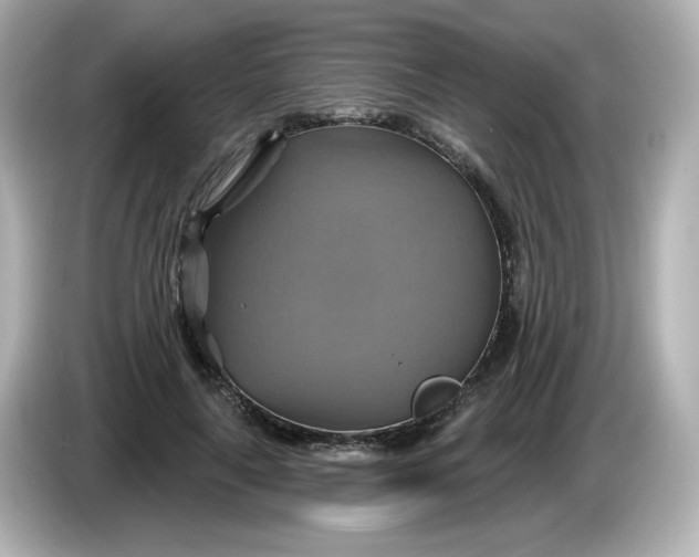 X0000086020643200704091114