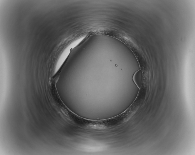X0000086020644200704091114