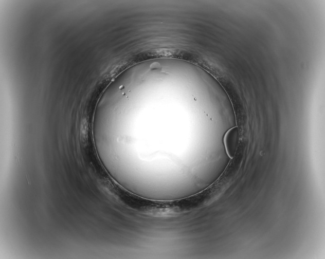 X0000086020646200704091114