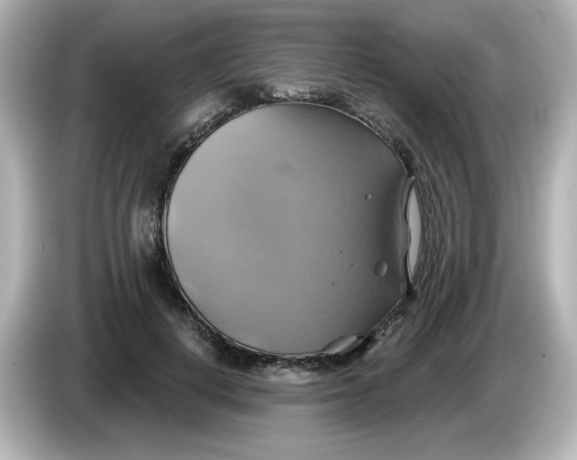 X0000086020648200704091114