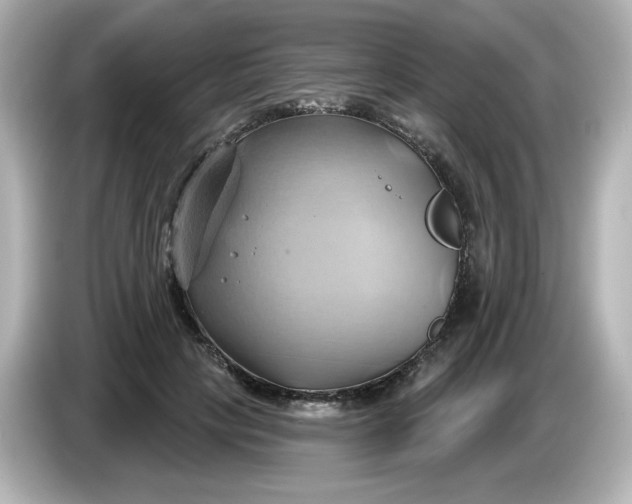 X0000086020649200704091114