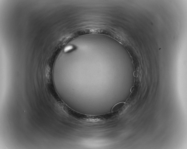 X0000086020650200704091114