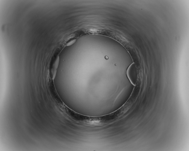 X0000086020651200704091114
