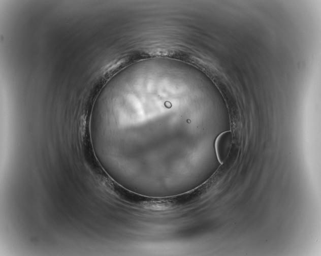 X0000086020652200704091114