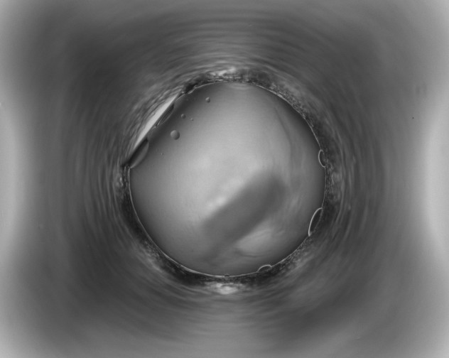 X0000086020654200704091114