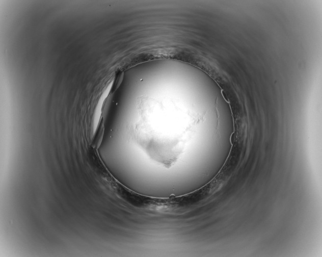 X0000086020655200704091114