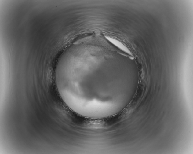 X0000086020659200704091114