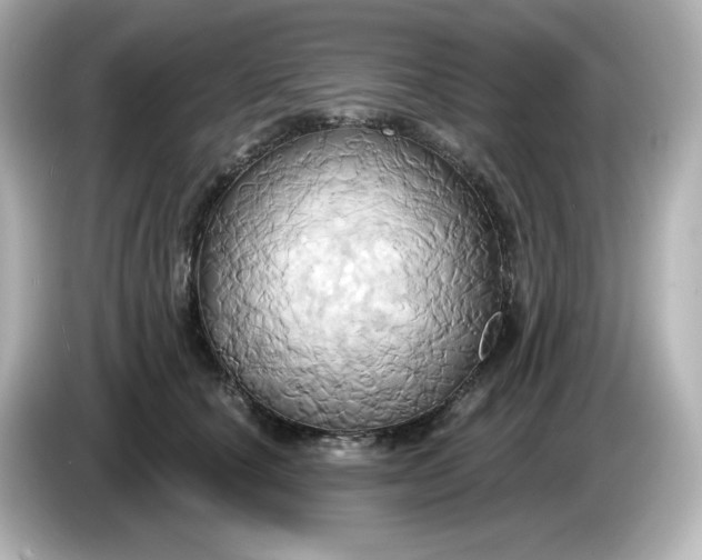X0000086020660200704091114